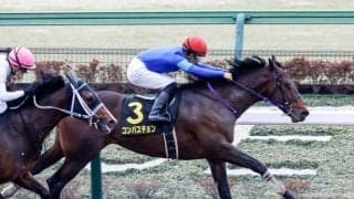 【次走】ヒヤシンスS覇者コンバスチョンはUAEダービーへ