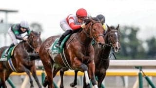 【中山記念出走馬・騎手確定】ダノンザキッド＆川田将雅騎手、アドマイヤハダル＆横山武史騎手など16頭