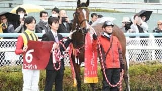 【JRA】プールヴィルが引退、社台ファームで繁殖馬に