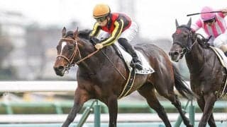 【中山記念「見逃せない調教師」ベスト3】中山芝1800mで複勝率47.4％ 中山記念はこの調教師にお任せ！