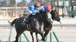 【阪急杯「見逃せない調教師」ベスト3】阪神芝1400mで複勝率55.0％、複勝回収率112％ この調教師に全権委任！