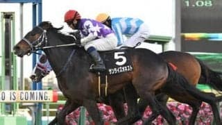 阪急杯は種牡馬のコース成績で絞る。「人気薄」なら逆に激走する前例も