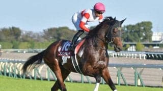 【中山記念枠順確定】ダノンザキッドは8枠15番、アドマイヤハダルは6枠12番