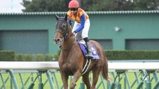【今日の注目ポイント】春の中山開催が開幕 深夜のサウジCデーに日本馬12頭参戦