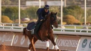 日本馬も12頭が出走するサウジカップ開催。超高額の賞金だけじゃない、世界の有力馬が集う魅力とは