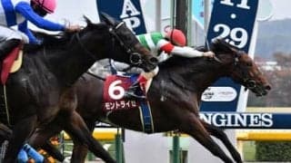 今年も200万円超えの「大荒れ」があるのか。阪急杯で穴党記者が推奨する激アツな２頭