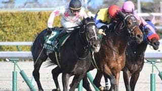 【弥生賞想定】ドウデュースは武豊騎手、マテンロウレオは横山典弘騎手