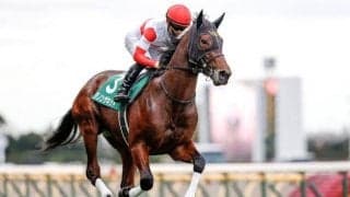 【中山記念】ダノンザキッド安田隆師「毛ヅヤがよく体調が良さそう」/ねぇさんのトレセン密着