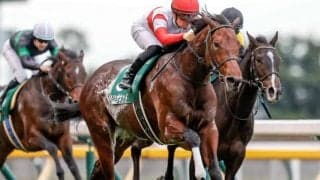 【中山記念予想】中山適性だけでは不十分、ある条件でさらに絞り込める