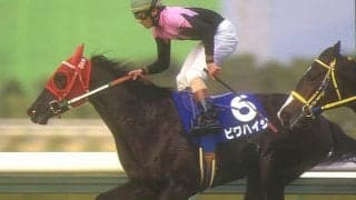 名牝ビワハイジ死す、29歳　産駒にブエナビスタ・ジョワドヴィーヴルなど活躍馬多数