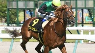 【阪急杯予想】目標は高松宮記念!? 人気確実も「軽視するべき馬」とは