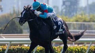 グローリーヴェイズとステラヴェローチェがドバイSCの招待受諾