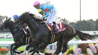 【阪急杯前日オッズ】ダイアトニックが3.8倍で1番人気