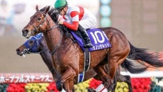 【中山記念前日オッズ】ダノンザキッドが2.7倍で1番人気