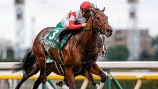 【WIN5予想】中山記念は実績やキャリアを素直に評価したい