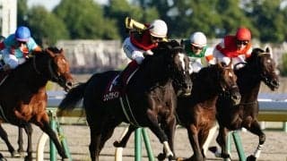 【1351ターフS】日本のソングラインが差し切りV