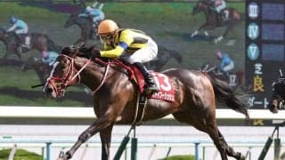 【レッドシーターフHC】ルメールの神騎乗！ステイフーリッシュが逃げ切り