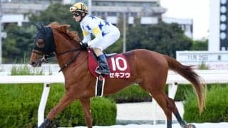 【サウジダービー】セキフウ2着 コンシリエーレ3着と健闘