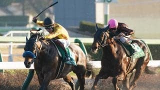 【リヤドダートS】日本勢4勝目！ルメール騎乗 ダンシングプリンスが逃げ切り！