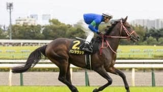 【中山記念予想】国内外の上半期GI競走を占う別定重量のGII戦