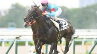 【阪急杯予想】春GIへの切符を手にするのは…高松宮記念へ繋がる重要な一戦