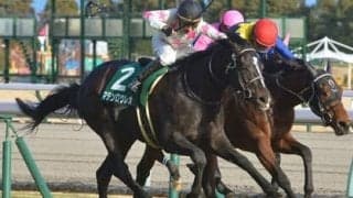 マテンロウレオは日高の馬を愛する昆貢調教師が春の大舞台に自信を持って送り込む逸材