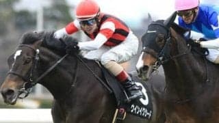 中山記念は例年より小粒なメンバー構成。穴党記者が推す「大穴」２頭が高配当を演出か