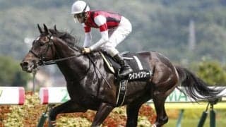 【中山記念予想】1番人気よりは2・3番人気が優勢？ 前走金杯組以外の優勝馬に共通点あり！