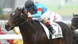 【阪急杯】ダイアトニック安田隆師「戻ってきたな、というかんじ」/ねぇさんのトレセン密着