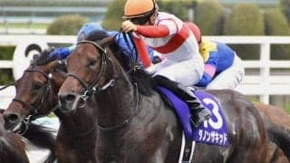 【中山記念・馬体重】ダノンザキッドは522kg(-6)、パンサラッサは482kg(+2)