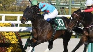 【阪急杯結果】ダイアトニックが内から抜け出て久々の重賞V