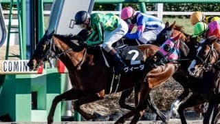 【JRA】堀井雅広厩舎からの転厩馬一覧、25頭中9頭が西田雄一郎厩舎へ