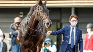 【JRA】藤沢和雄厩舎からの転厩馬一覧、46頭中33頭が蛯名正義厩舎へ