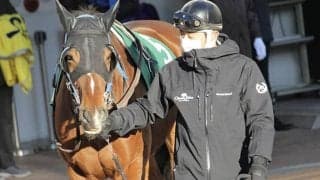 【JRA】柄崎孝厩舎からの転厩馬一覧、15頭中14頭が堀内岳志厩舎へ