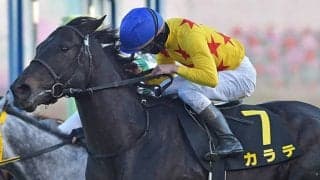 【JRA】高橋祥泰厩舎のカラテは栗東・辻野泰之厩舎に転厩