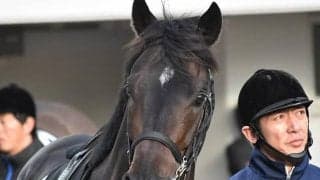 【JRA】田中清隆厩舎からの転厩馬一覧、25頭中24頭が嘉藤貴行厩舎へ