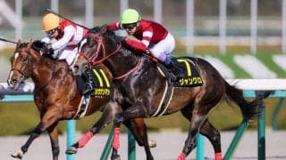 【マーガレットS】武豊 ジャングロが人気に応える