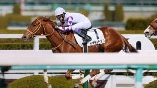 【阪神8R】武豊 ペプチドヒミコが差し切る