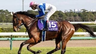 【JRA】浅見秀一厩舎からの転厩馬一覧、36頭中32頭が中村直也厩舎へ