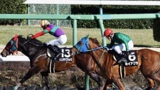 【ブラッドストーンS】ハコダテブショウが逃げ切る