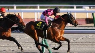 【オーシャンS登録馬】スマートクラージュなど15頭