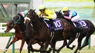 【チューリップ賞登録馬】サークルオブライフなど16頭