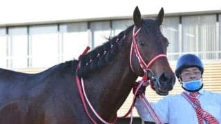 【中山記念】売上は80億2543万7300円で昨年からおよそ18億円の増加