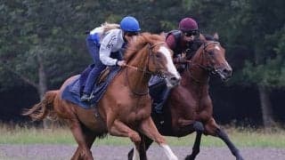 【海外競馬】今週から復帰のM.ミシェル騎手「苦しい時期が私を成長させてくれました」