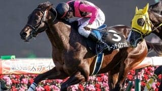 【AI予想・弥生賞】重賞連勝のAIが穴狙い!? 人気の盲点を突いた「妙味ある馬」とは