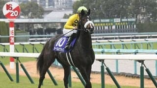 【チューリップ賞想定騎手】サークルオブライフはM.デムーロ騎手、ナミュールは横山武史騎手