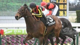 【先週のJRA抹消馬】良血馬ドナウデルタ、ベルモントオークス4着ジョディーなど