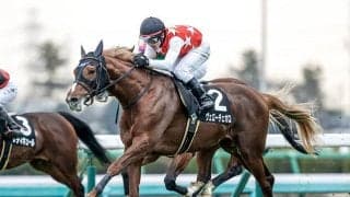 ゴールドシップ産駒ヴェローチェオロはドバイゴールドCへの招待を受諾