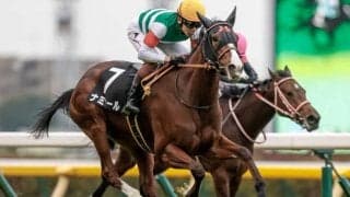 【チューリップ賞展望】桜花賞への重要ステップ、あの馬の巻き返しを期待したい