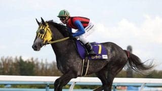 フェブラリーS10着のミューチャリーはマーチSを視野に調整